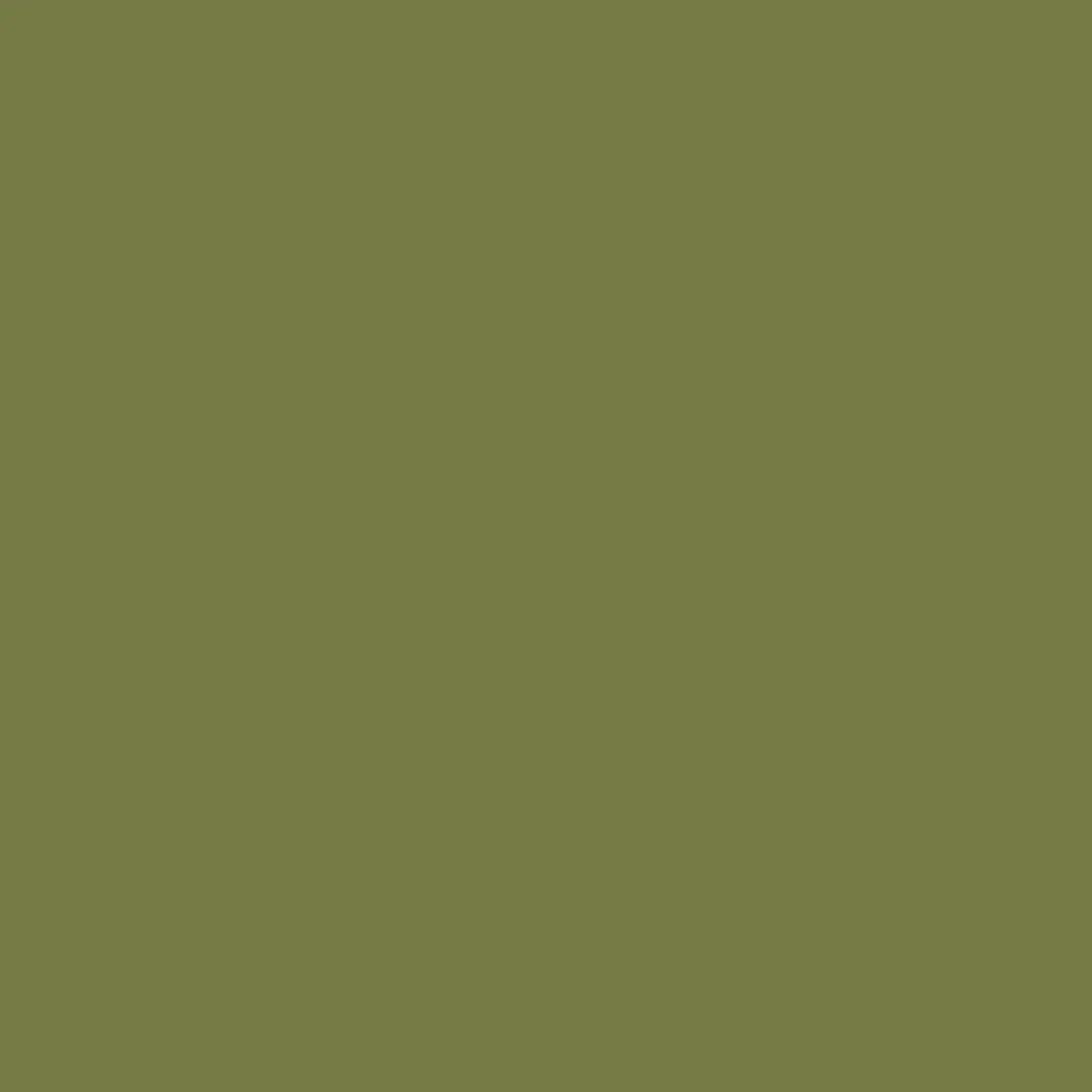 Ceiling Paint